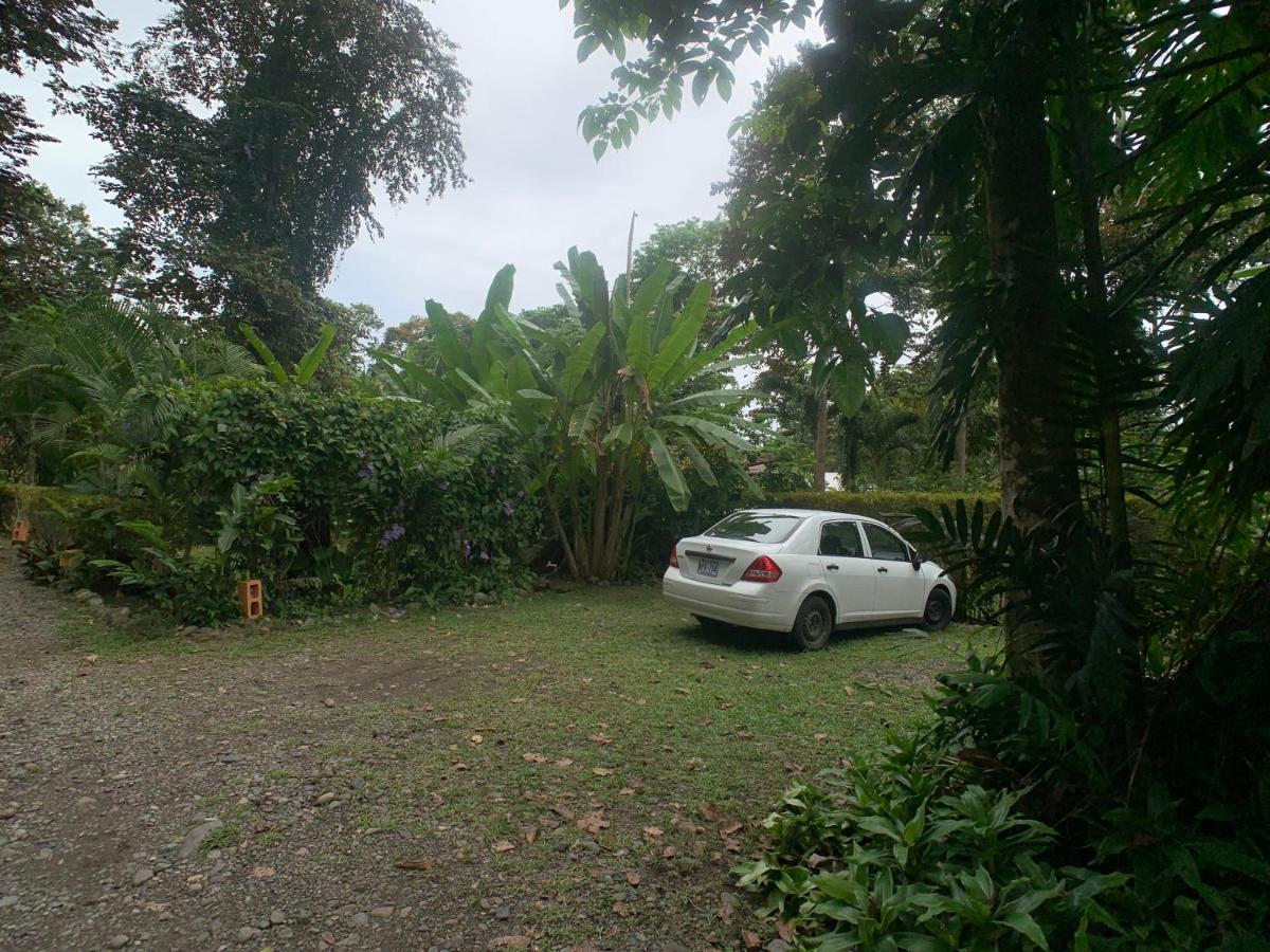 Luna Caribena Village Puerto Viejo de Talamanca Eksteriør bilde