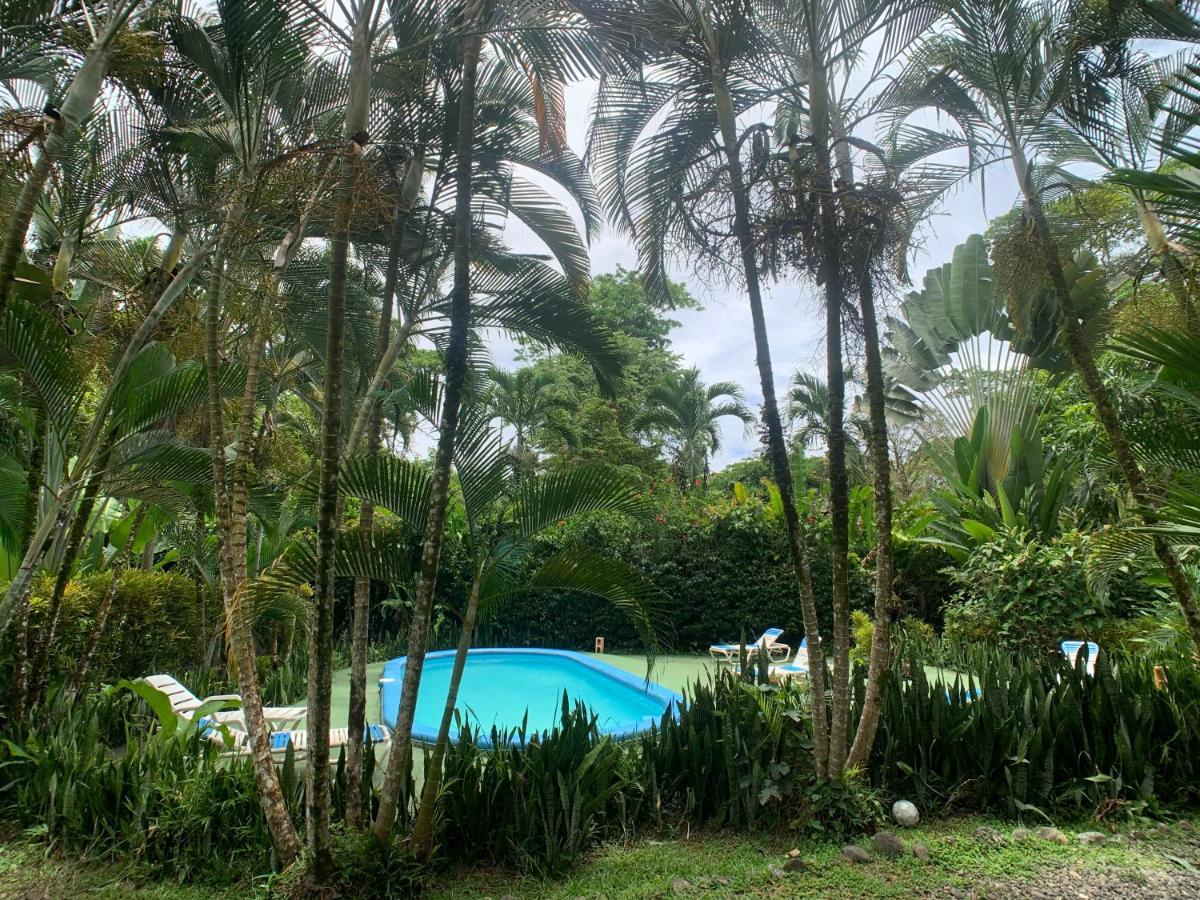 Luna Caribena Village Puerto Viejo de Talamanca Eksteriør bilde