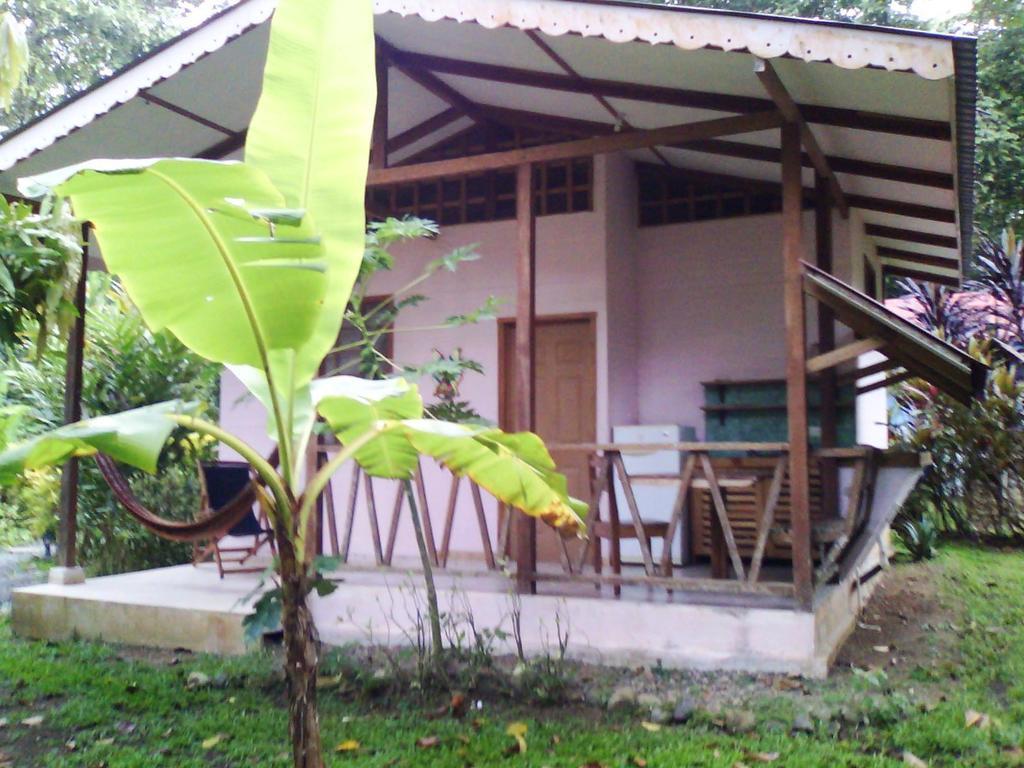 Luna Caribena Village Puerto Viejo de Talamanca Eksteriør bilde