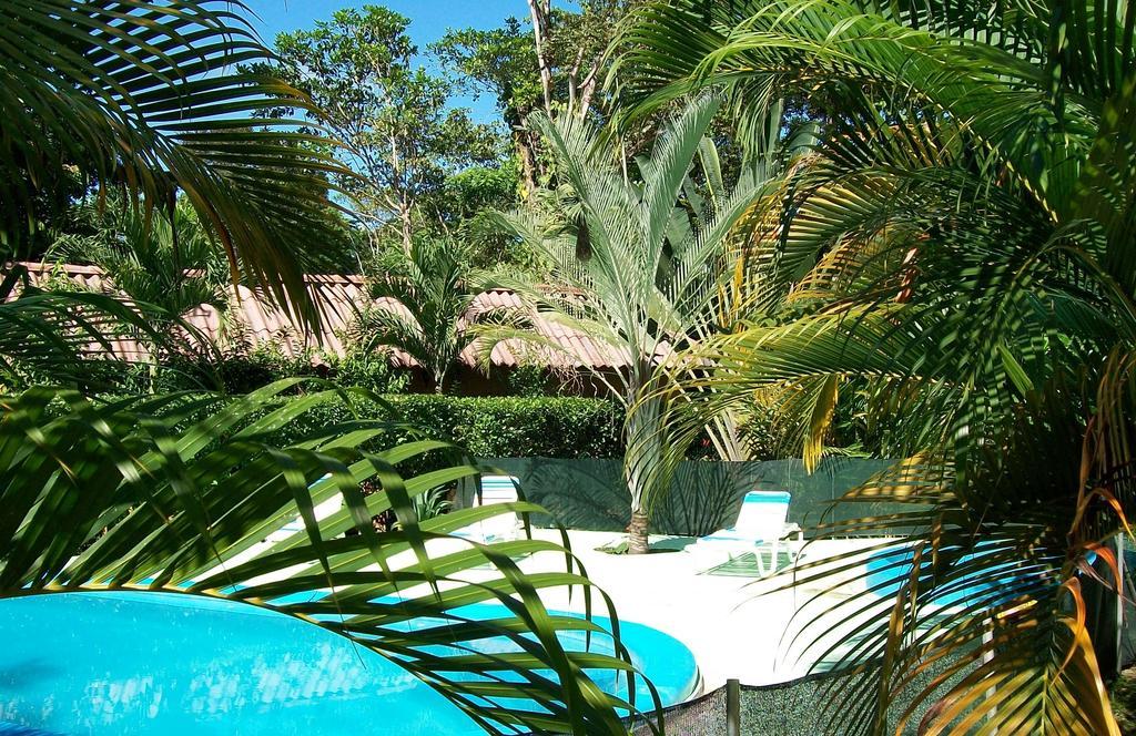 Luna Caribena Village Puerto Viejo de Talamanca Eksteriør bilde