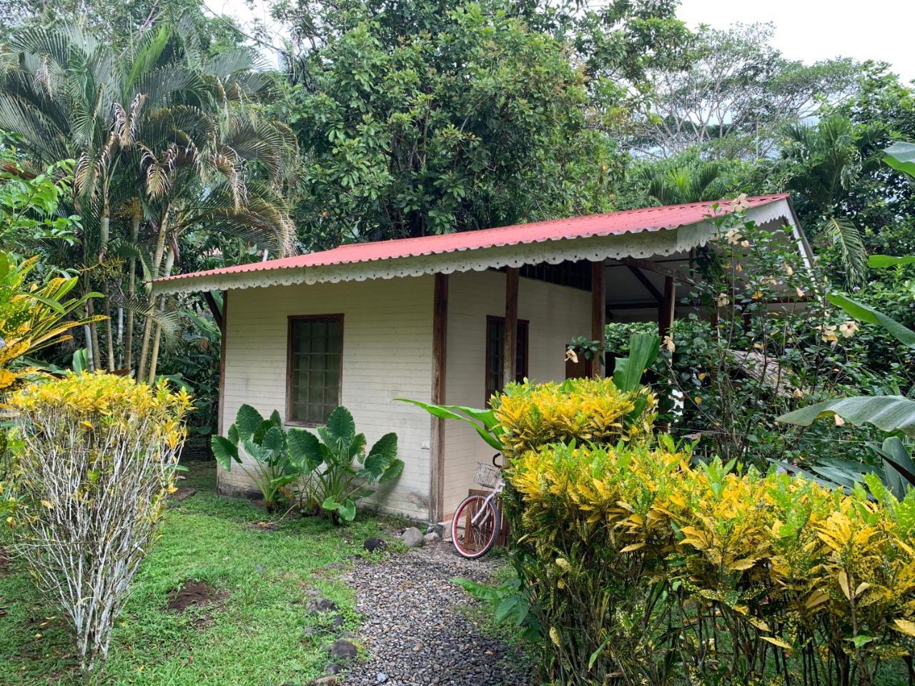 Luna Caribena Village Puerto Viejo de Talamanca Eksteriør bilde