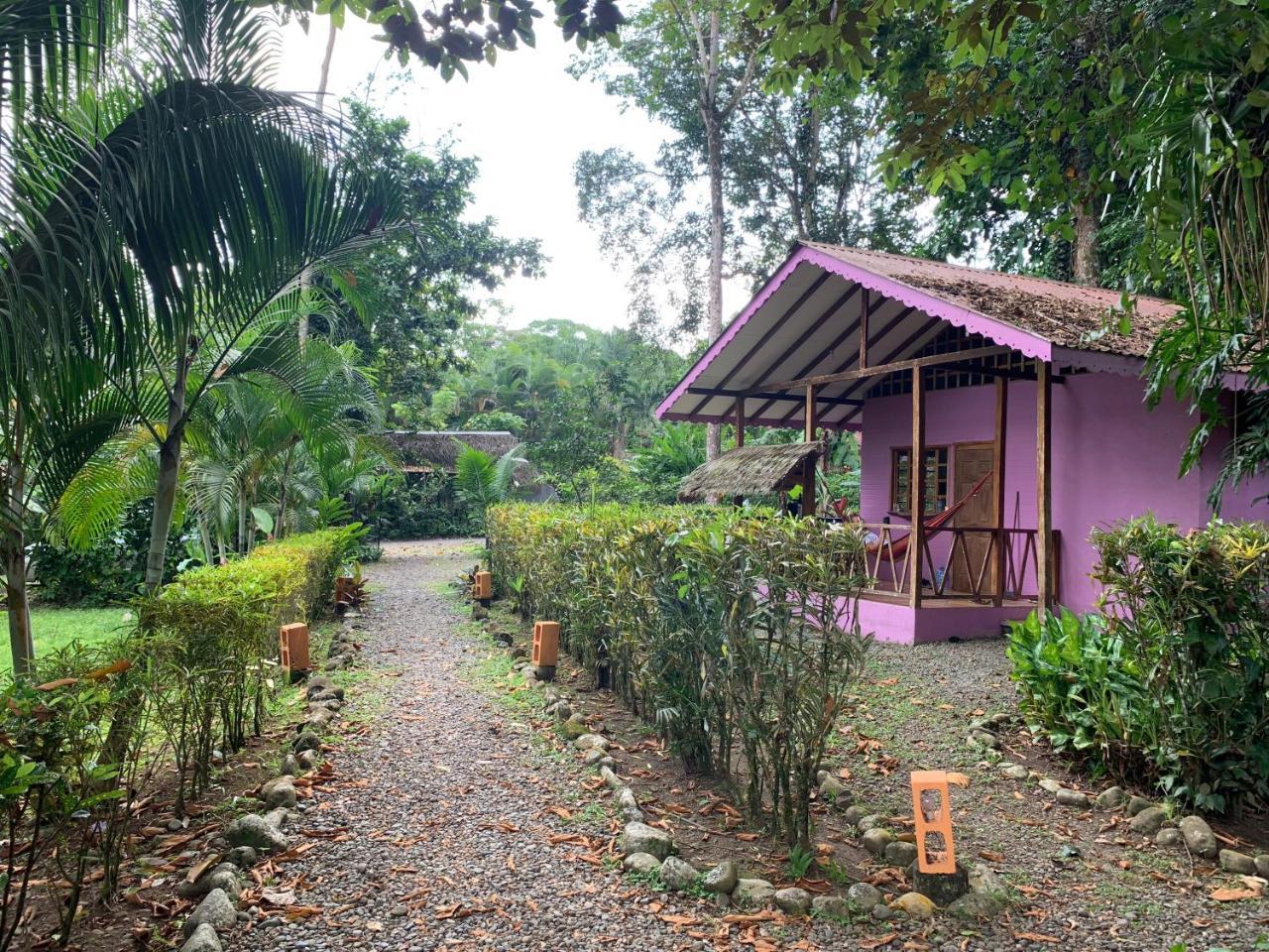 Luna Caribena Village Puerto Viejo de Talamanca Eksteriør bilde