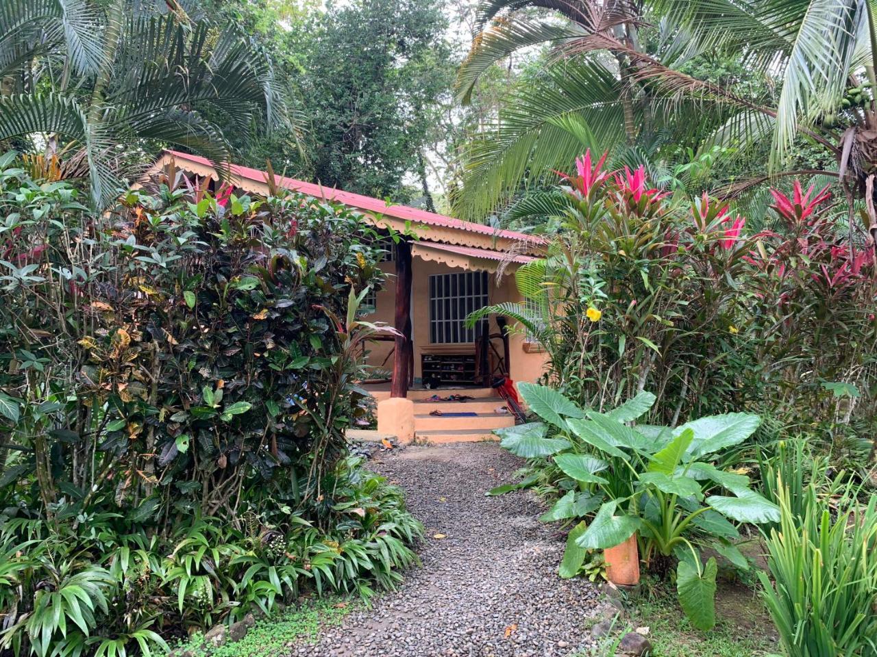 Luna Caribena Village Puerto Viejo de Talamanca Eksteriør bilde