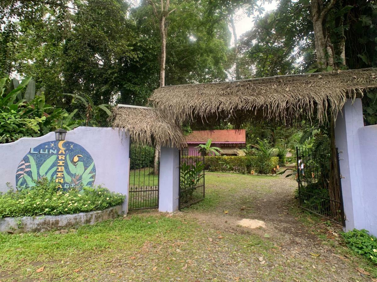 Luna Caribena Village Puerto Viejo de Talamanca Eksteriør bilde